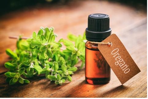 Oregano oil for inflammation
