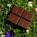 mushroom chocolate bar