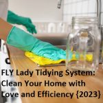 FLY Lady Tidying System