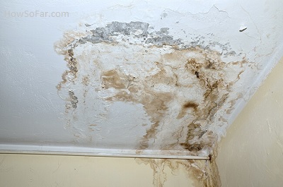 Mold in Your Home