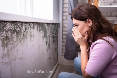 What causes mold in the house