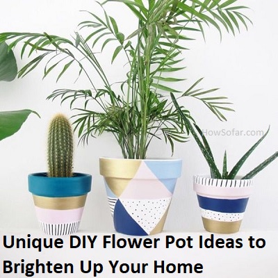 DIY Flower Pot Ideas