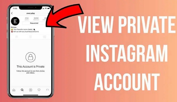 anonymous instagram story viewer private account